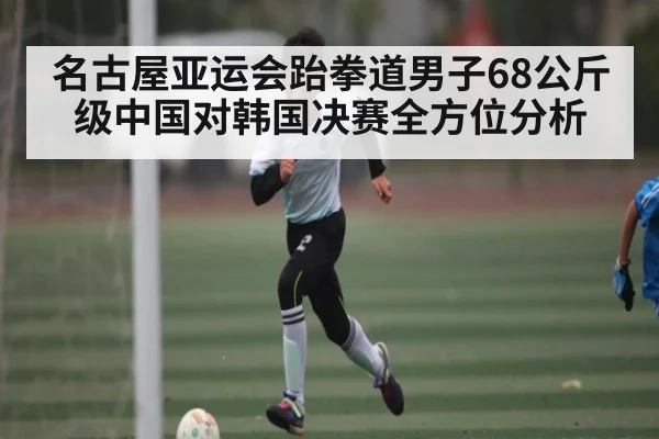 名古屋亚运会跆拳道男子68公斤级中国对韩国决赛全方位分析